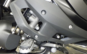 BMW R1300GS 2024