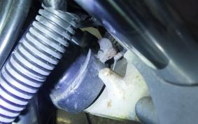 KAWASAKI ZEPHYR 400 Gen.2 1991 ZR400C