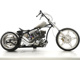 Фото Harley Kit Bike 2008 с японского аукциона