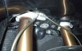 SUZUKI GSX-R1000 2001