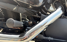 HARLEY XL883N 2014 LE2