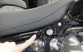 HARLEY FXBR1920 2025