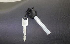 SUZUKI SV650 A 2026 VP55E