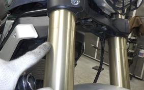 DUCATI SCRAMBLER 1100 SPA 2019