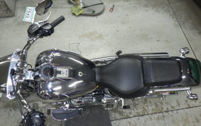HARLEY FLSTFI1920 2025