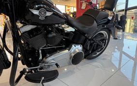 HARLEY FLSTFB 2010 JN5