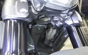 DUCATI ディアVERDEィーゼル 2019