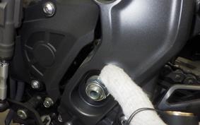 YAMAHA MT-09 SP 2024 RN87J