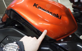 KAWASAKI Z1000 Gen.3 2009 ZRT00B