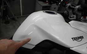 TRIUMPH TIGER 800 2019