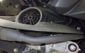 YAMAHA CYGNUSRAYZRﾊEVEﾘｯﾄﾞ