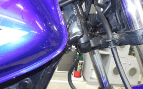 HONDA FTR223 2006 MC34