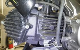 KAWASAKI Z125 PRO 2020 BR125H