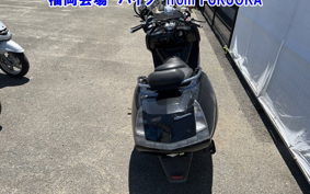 YAMAHA MAXAM 250