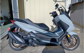 HONDA  FORZA 250 MF17