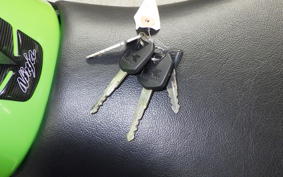 KAWASAKI NINJA 250 ABS 2025 EX250L