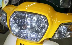 HONDA C110 SUPER CUB