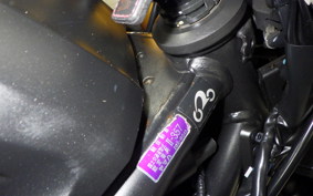 YAMAHA YZF-R25 RG43J