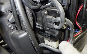 HARLEY XL1200NS 2019