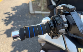 HONDA FORZA 250 4019