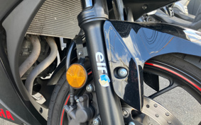 YAMAHA YZF-R25 RG10J