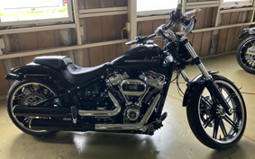 HARLEY FXBRS 2021 YHK
