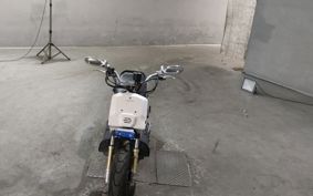 HONDA ZUMAR AF58