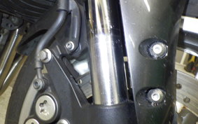 YAMAHA FZ1 FAZER 2011 RN21J