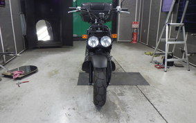 HONDA ZOOMER AF58