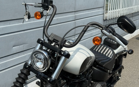 HARLEY  HARLEY FXBBS 2021 YYK