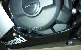 KAWASAKI NINJA 250 2010 EX250P