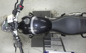 TRIUMPH SPEED400 2024