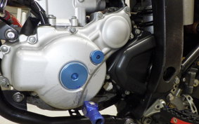 YAMAHA WR250X DG15J