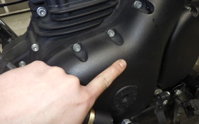 OTHER +ENFIELD ﾒﾃｵ350 2023