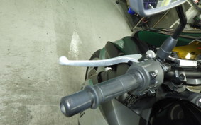 KAWASAKI Z1000 Gen.4 2010