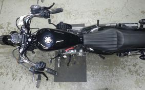 HARLEY XL1200XS 2019