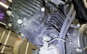 KAWASAKI Z125 PRO