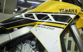 YAMAHA WR250R 2002 DG15J