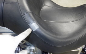 HARLEY FXDL 1580 2014