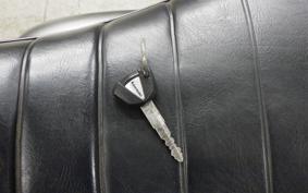 KAWASAKI W800 2021 EJ800B