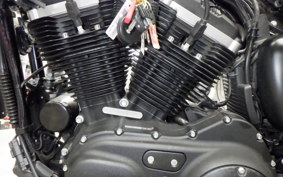 HARLEY XL883N 2015