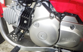 HONDA CT125 HUNTER CUB 2022 JA55