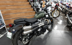 TRIUMPH TRIUMPH SCRAMBLER 2024 DAD78G