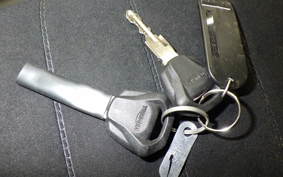 TRIUMPH SCRAMBLER 900 2025