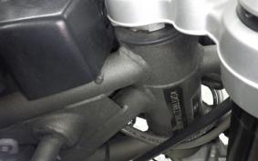 TRIUMPH TIGER 800 2019