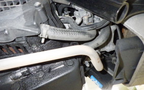 HONDA ZOOMER 2022 AF58