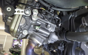 DUCATI MONSTER 937 2021