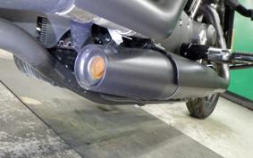 HARLEY XL883N 2021