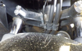 HONDA FAZE A 2023 MF11
