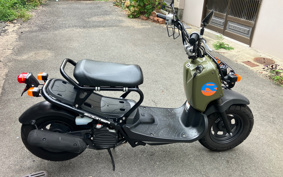 HONDA ZUMAR AF58